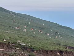 -灵山