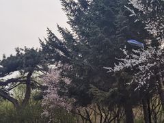 -长春市南湖公园