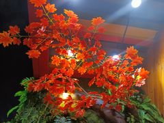 -湘当爱·鲜煮现炒(松岗立业路店)