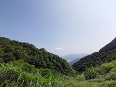 -梧桐山风景名胜区