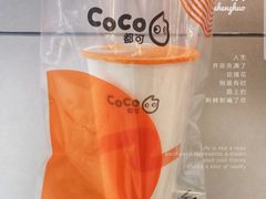 椰果奶茶-CoCo都可(百脑汇店)