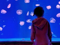 -华夏文旅西安度假区