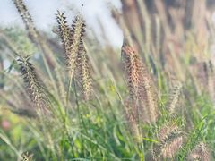 -汉长安城未央宫国家考古遗址公园