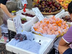 -红星农博物流中心