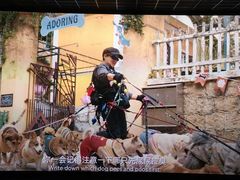 -芒果国际影城东风店