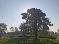 -汉长安城未央宫国家考古遗址公园