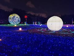 -海上田园