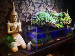 -域SPA·足疗·按摩·养生(静安寺店)