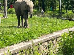 -哈尔滨北方森林动物园