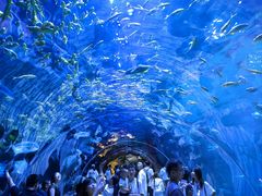 -华夏文旅海洋公园