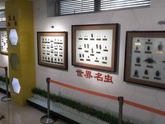 -上海昆虫博物馆