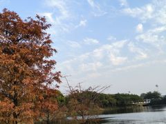 -厦门园林博览苑