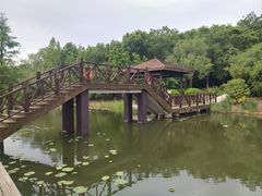 -同里国家湿地公园