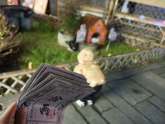 -茅山东方盐湖城景区