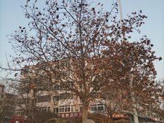 -普明园