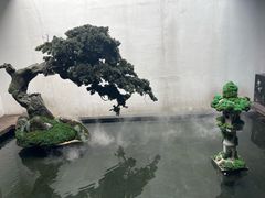 -觀芷隐轩