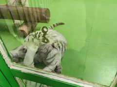 -北京野生动物园