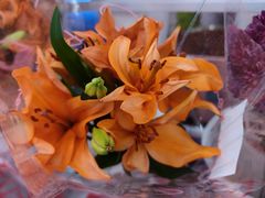 -大润发(梅兰东路店)