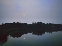 -大兴滨河森林公园