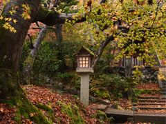 -常寂光寺