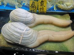 -黄沙水产交易市场