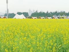 -光明小镇欢乐田园