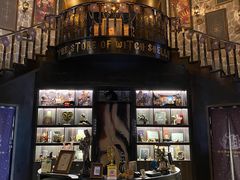 -雪灵魔法世界SHELLY’S TAROT(大良桂畔里店)