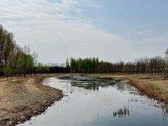 -东郊湿地公园