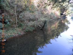 -祁门牯牛降观音堂风景区