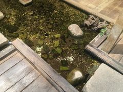 -邈墨茶馆(大兜路1号店)