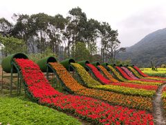 -广州市石门国家森林公园