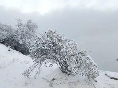 -太子岭滑雪场