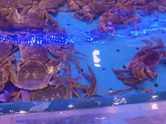 -澜悦港海鲜体验主题餐厅