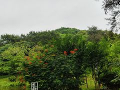 -云溪植物园
