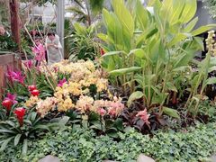 -北京植物园-展览温室