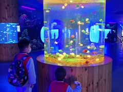 -多彩贵州城极地海洋世界