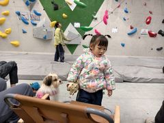 -绿壁虎攀岩基地(Tcar店)