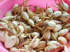 -蚝乡农庄(铁涌赤岸店)