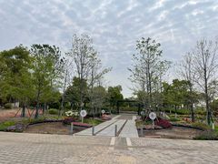 -春花秋色城市公园