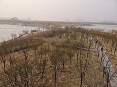 -天津东丽湖风景区