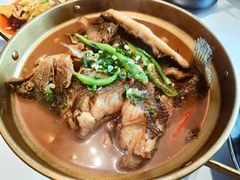 -四季春