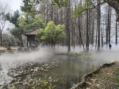 -东湖落雁景区