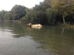 -西湖外事游船(花港观鱼码头)