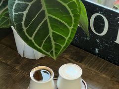 一豆两喝-nodcafe(M50创意园店)