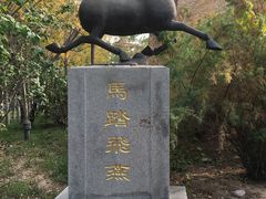 -武清南湖绿博园