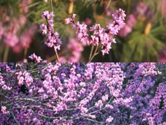 -天台山赤城山景区