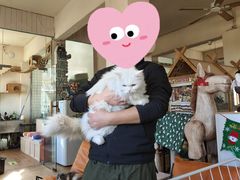 -小时光咖啡馆(开森度假森林店)