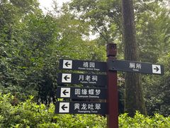 -杭州黄龙洞