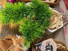 野生菌拼盘-菌彩云南野生菌火锅(新亚洲店)