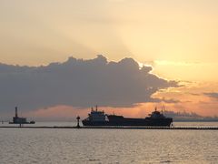 -上海吴淞炮台湾国家湿地公园